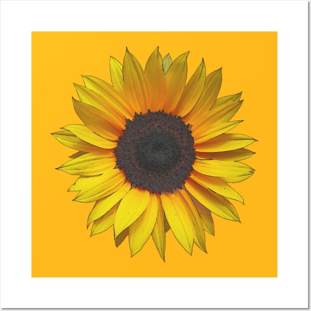 Sunflower Wall Art by Braznyc